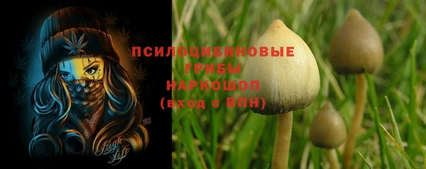 стаф Сатка
