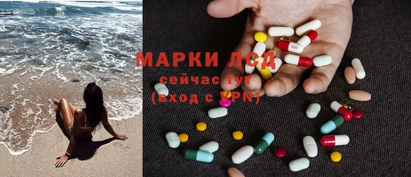сатива Сафоново