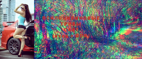 сатива Сафоново