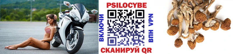 Псилоцибиновые грибы Cubensis это формула Ханты-Мансийск